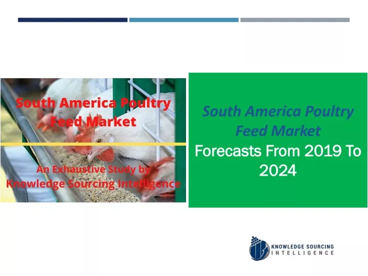 south america poultry feed market forecasts from