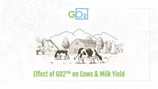 How GO2™can Increase the Yield of Cow Milk