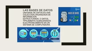 LAS BASES DE DATOS