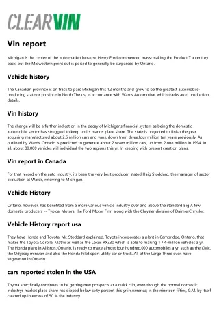 vin report