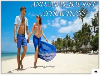 ANDAMAN  TOUR PACKAGE
