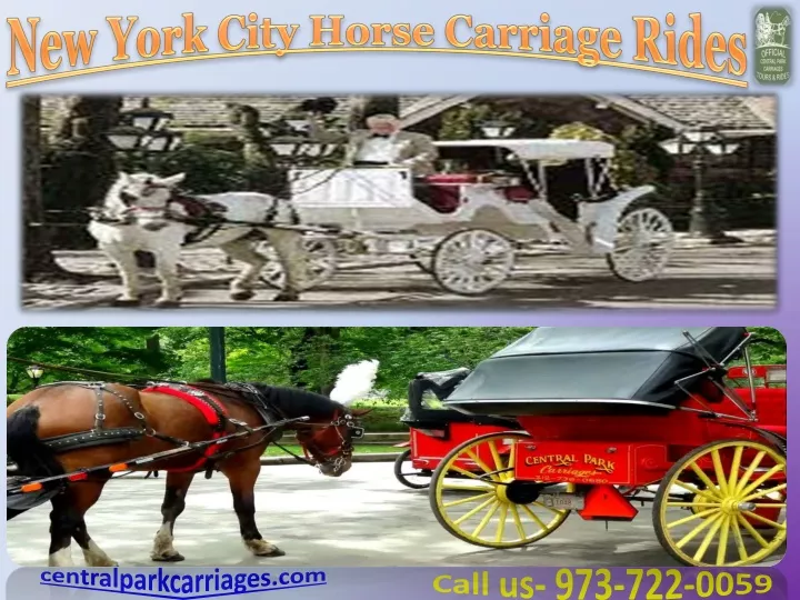 new york city horse carriage rides