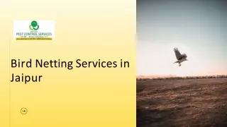 bird netting services in jaipur