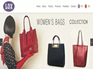 Cosmetic Bag
