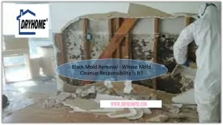 Black Mold Removal - Whose Mold Cleanup Responsibility Is It?