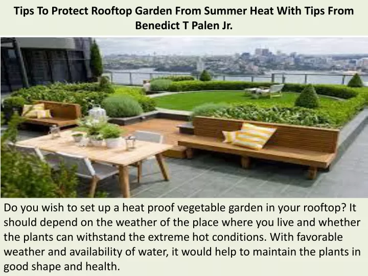 tips to protect rooftop garden from summer heat with tips from benedict t palen jr