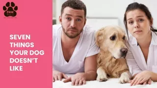 Seven Things Your Dog Doesn't Like - ppt