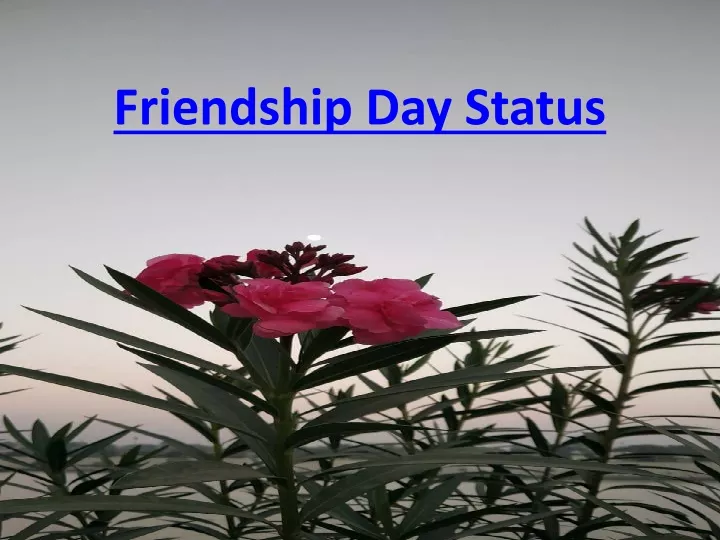 friendship day status