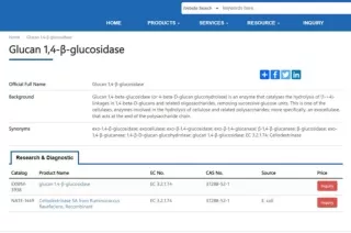 Glucan 1,4-β-glucosidase