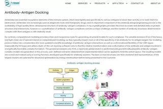 Antibody-Antigen Docking