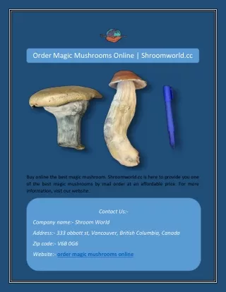 Order Magic Mushrooms Online | Shroomworld.cc