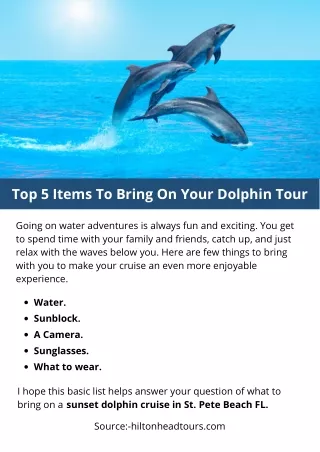 Top 5 Items To Bring On Your Dolphin Tour
