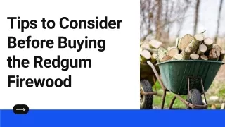 Tips to Consider Before Buying the Redgum Firewood