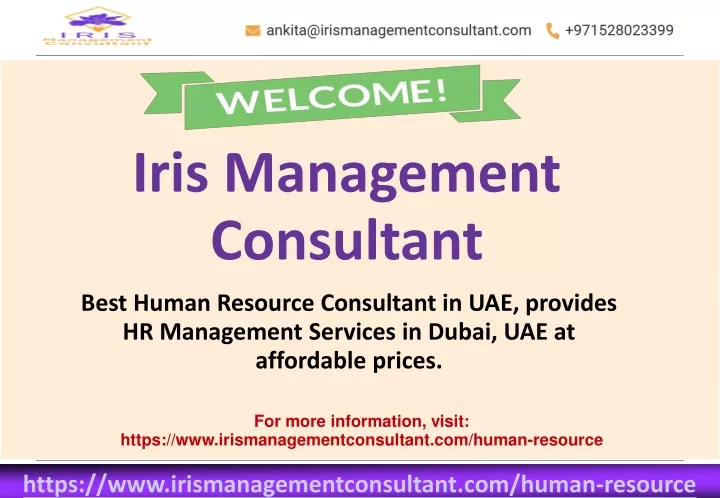 iris management consultant