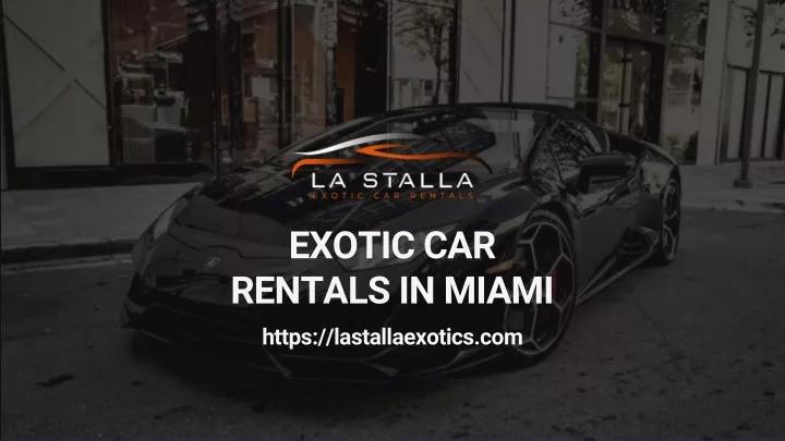 exotic car rentals in miami https lastallaexotics