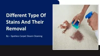 Different Type Of Stains And Their Removal | Spotless Carpet Steam Cleaning