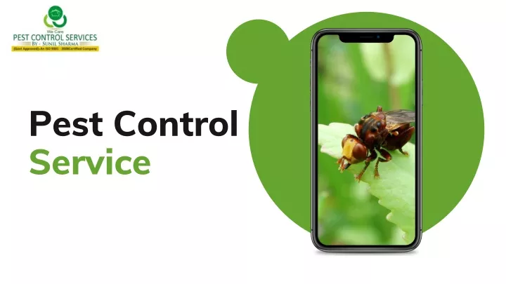 pest control service