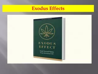 What comes in The Exodus Effect System?
