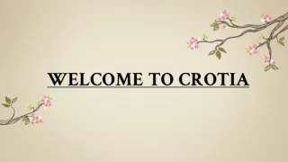 Study in croatia | Croatian Education Admission, Cost, Collages, top University