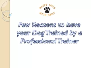 Few Reasons to have your Dog Trained by a Professional Trainer