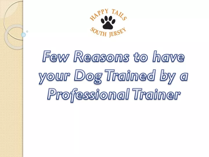 few reasons to have your dog trained