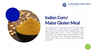 Indian Corn Gluten Meal Manufacturers, Suppliers & Exporters in India