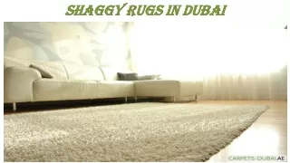 Shaggy Rugs in Dubai