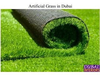 Artificial Grass in Dubai