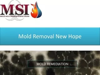 mold removal new hope