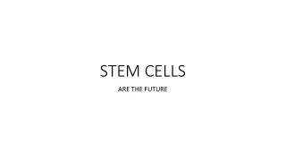 stem cells