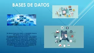 bases de datos