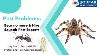 Pest Control Melbourne | Pest Exterminator Melbourne | Squeak Pest Control