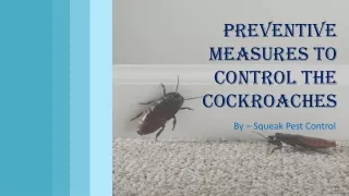 Preventive Measures to Control The Cockroaches | Pest Control Tips