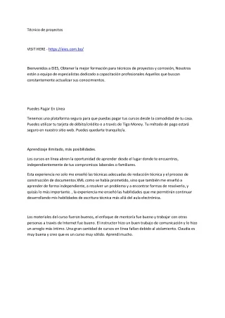 t cnico de proyectos