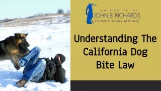 Understanding The California Dog  Bite Law