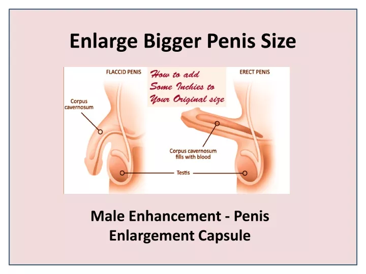 enlarge bigger penis size