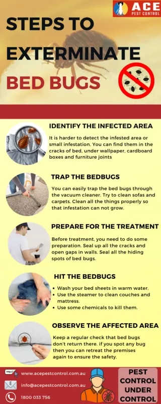 Steps to Exterminate Bed Bugs | Ace Pest Control