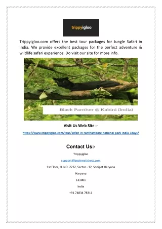 Jungle Safari in India | Trippyigloo.com