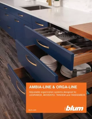 Tandem Box - Box System or Drawers by Blum