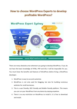 How to choose WordPress Experts to develop profitable WordPress