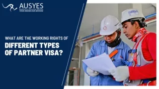 What are the Working Rights of Different Types of Partner Visa