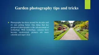 Garden photography tips and tricks