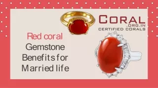 r e d c o r a l gemstone