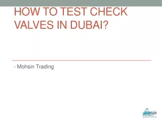 how to test check valves in dubai