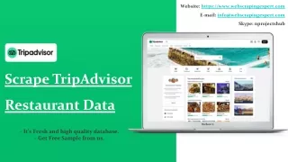 website https www webscrapingexpert com e mail