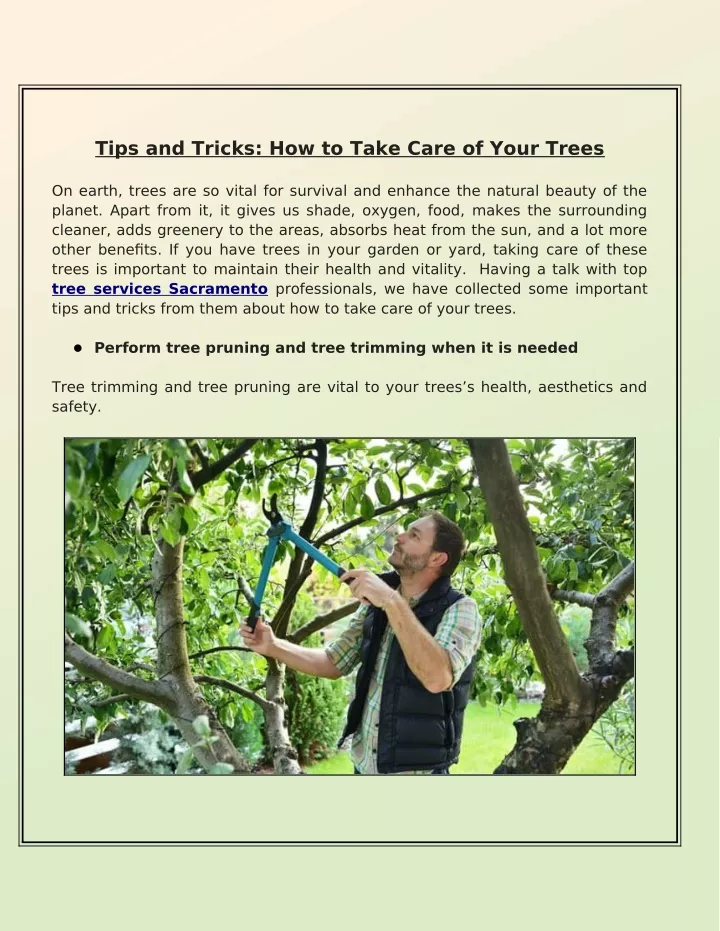 tips and tricks how to take care of your trees
