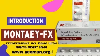 PCD Pharma Franchise in India
