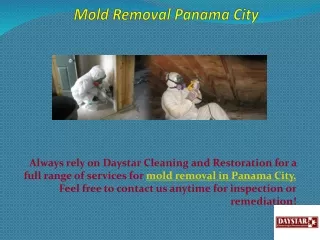 Mold Removal Panama City