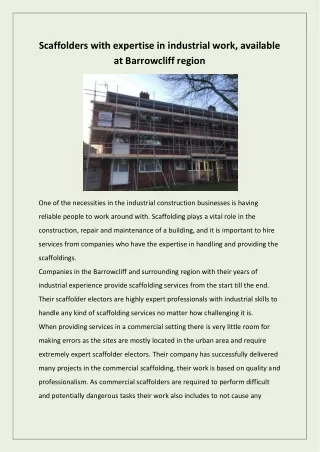 scaffolders with expertise in industrial work