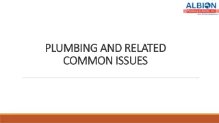 PLUMBING AND RELATED COMMON ISSUES